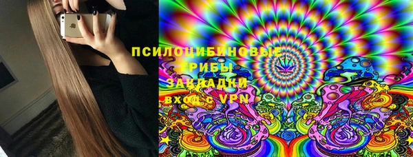 ГАЛЛЮЦИНОГЕННЫЕ ГРИБЫ Армянск