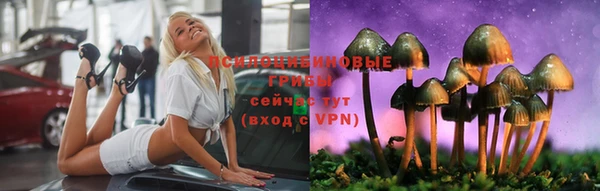 ГАЛЛЮЦИНОГЕННЫЕ ГРИБЫ Армянск