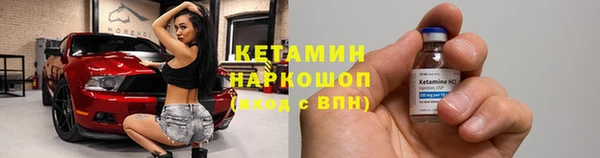прущие грибы Аркадак
