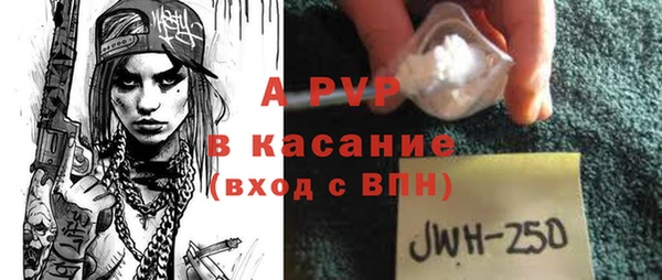 ПСИЛОЦИБИНОВЫЕ ГРИБЫ Михайлов
