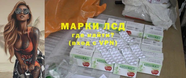 прущие грибы Аркадак
