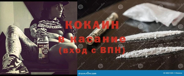 прущие грибы Аркадак