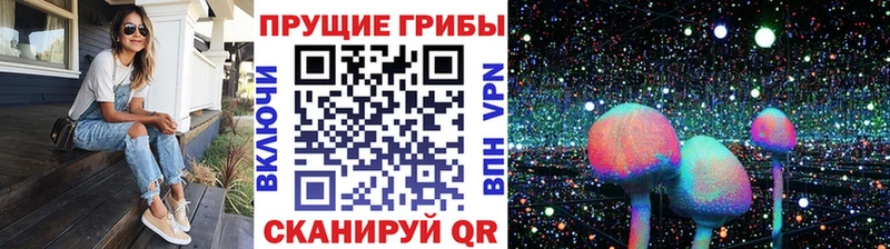 Галлюциногенные грибы Psilocybine cubensis Полесск